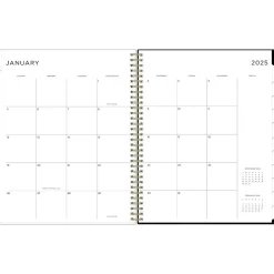 2025 Blue Sky Ashley G Small Dots 8.5