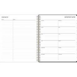 2025 Blue Sky Baccara Dark 8