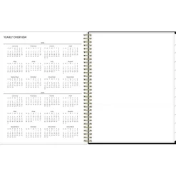 2025 Blue Sky Baccara Dark 8.5