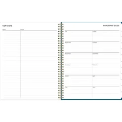 2024-2025 Blue Sky Bakah Blue 8.5