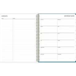 2025 Blue Sky Bakah Blue 8.5