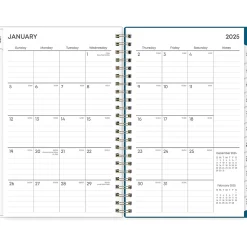 2025 Blue Sky Bakah Blue 5