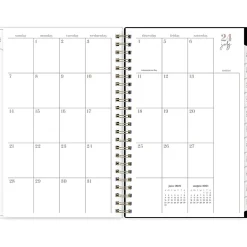 2024-2025 Blue Sky Belinda Selene Nyla 5