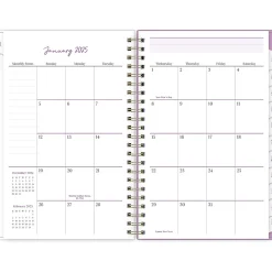 2025 Blue Sky Britt Mills Citrus Sunrise 5