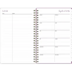 2025 Blue Sky Britt Mills Citrus Sunrise 5