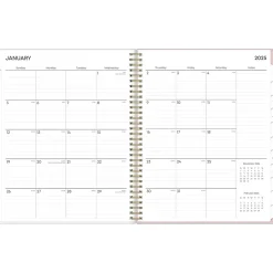 2025 Blue Sky Checkerboard 8.5