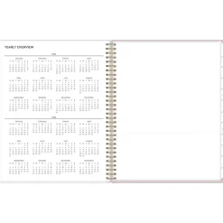 2025 Blue Sky Checkerboard 8.5