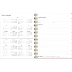 2025 Blue Sky Checkerboard 8.5