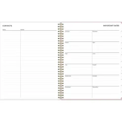 2025 Blue Sky Checkerboard 8.5