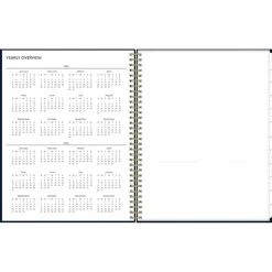 2025 Blue Sky Cheeyna 8.5