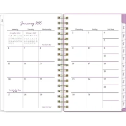 2025 Blue Sky Citrus Sunrise 3.63