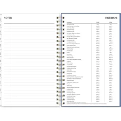 2025 Blue Sky Cocorrina 5