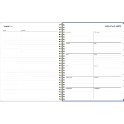 2025 Blue Sky Cocorrina 8.5