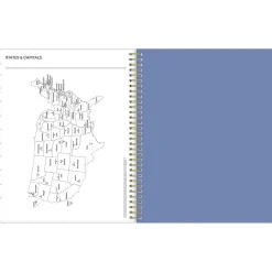 2025 Blue Sky Cocorrina 8.5