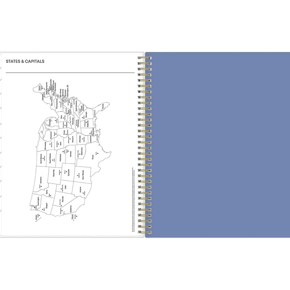 2025 Blue Sky Cocorrina 8.5" x 11" Weekly & Monthly Planner, Plastic Cover, Multicolor (143696-25)