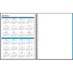 2024-2025 Blue Sky Collegiate 8.5