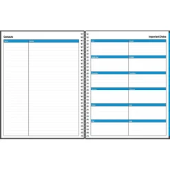 2024-2025 Blue Sky Collegiate 8.5