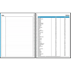 2024-2025 Blue Sky Collegiate 8.5
