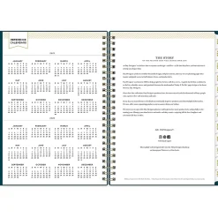 2025 Blue Sky Day Designer 5.88