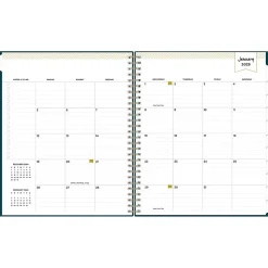 2025 Blue Sky Day Designer 8" x 10" Monthly Planner, Plastic Cover, Peacock (152222)