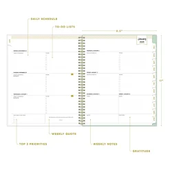 2025 Blue Sky Day Designer Arcadia 8.5