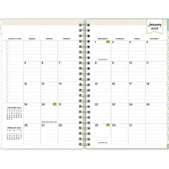 2025 Blue Sky Day Designer Arcadia 5