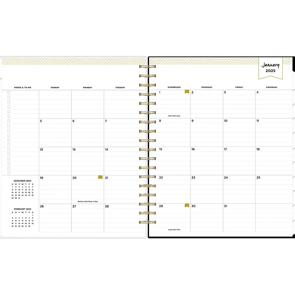 2025 Blue Sky Day Designer Austen Black 8" x 10" Daily & Monthly Planner, Plastic Cover, Multicolor (148130)