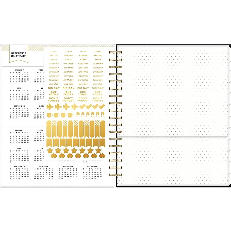 2025 Blue Sky Day Designer Austen Black 8" x 10" Daily & Monthly Planner, Plastic Cover, Multicolor (148130)