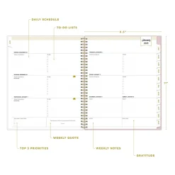 2025 Blue Sky Day Designer Breeze 8.5