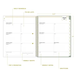 2025 Blue Sky Day Designer Felicity 8.5