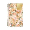 2025 Blue Sky Day Designer Felicity 5" x 8" Weekly & Monthly Planner, Plastic Cover, Multicolor (148139)