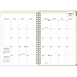 2025 Blue Sky Day Designer Gold Spotty 5.88