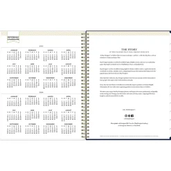 2025 Blue Sky Day Designer Meadow 8.5