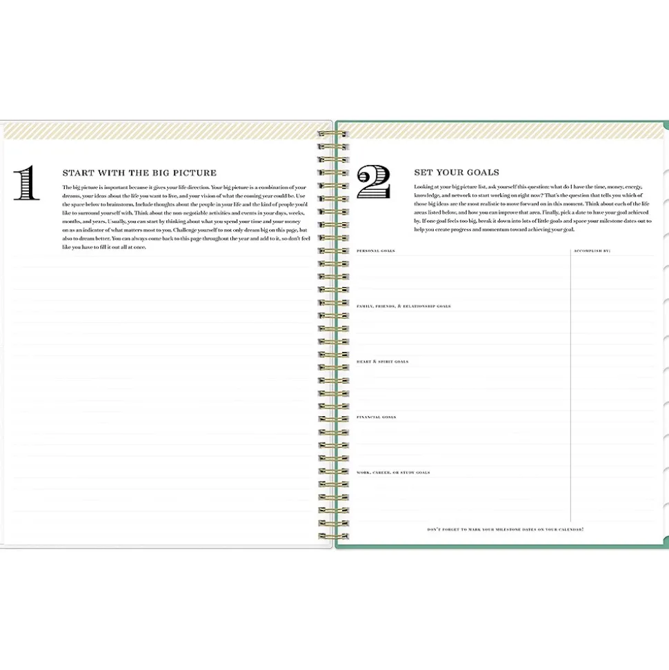 2024-2025 Blue Sky Day Designer Palms 8.5" x 11" Academic Weekly & Monthly Planner, Plastic Cover, White/Green (137891-A25)