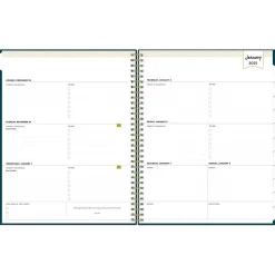 2025 Blue Sky Day Designer Peacock 8.5" x 11" Weekly & Monthly Planner, Plastic Cover, Blue (143889-25)