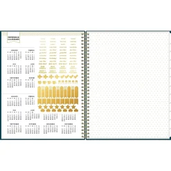 2025 Blue Sky Day Designer Peacock 8.5