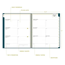 2025 Blue Sky Day Designer Peacock 8.5