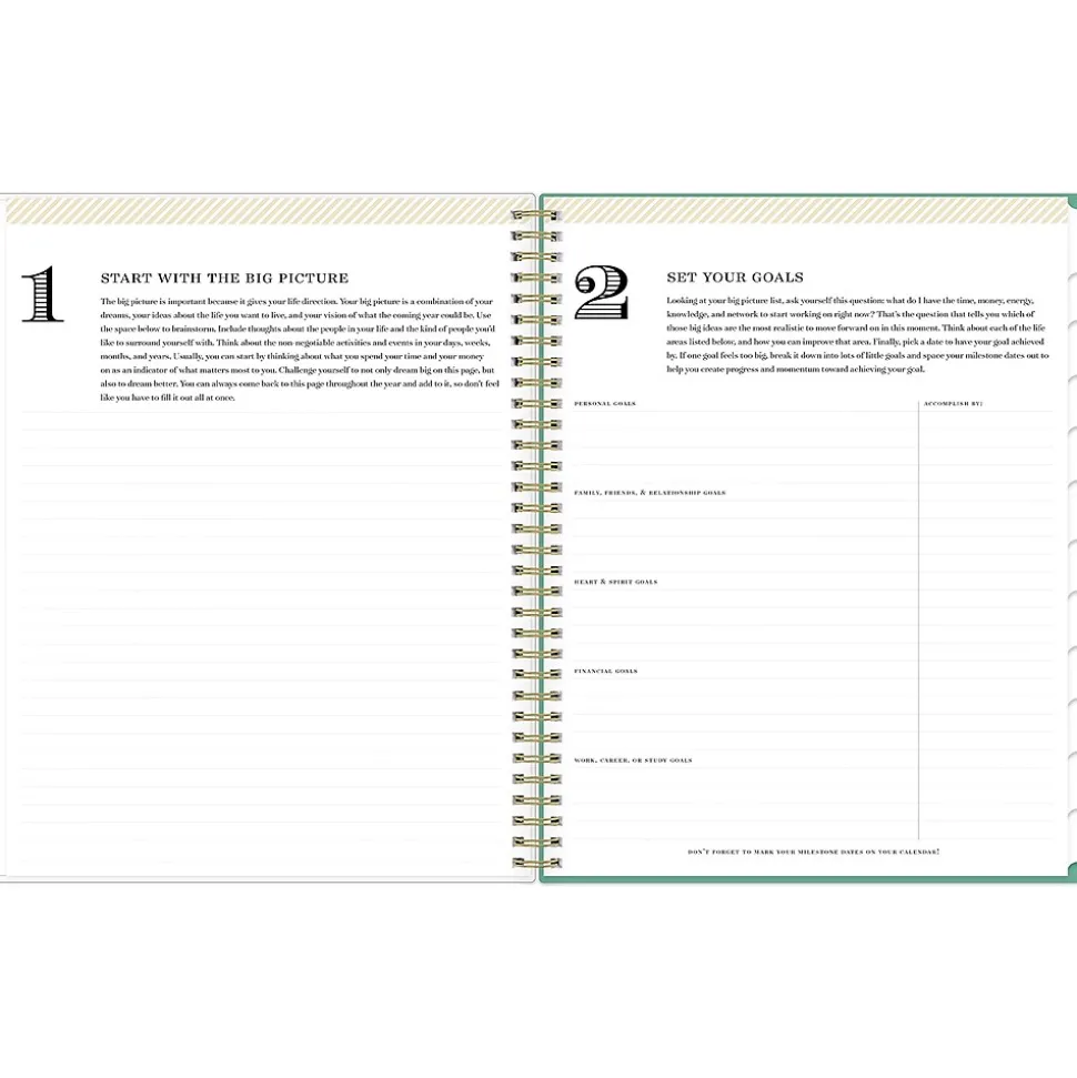2025 Blue Sky Day Designer Peyton White 8.5" x 11" Weekly & Monthly Planner, Plastic Cover, Multicolor (103618-25)