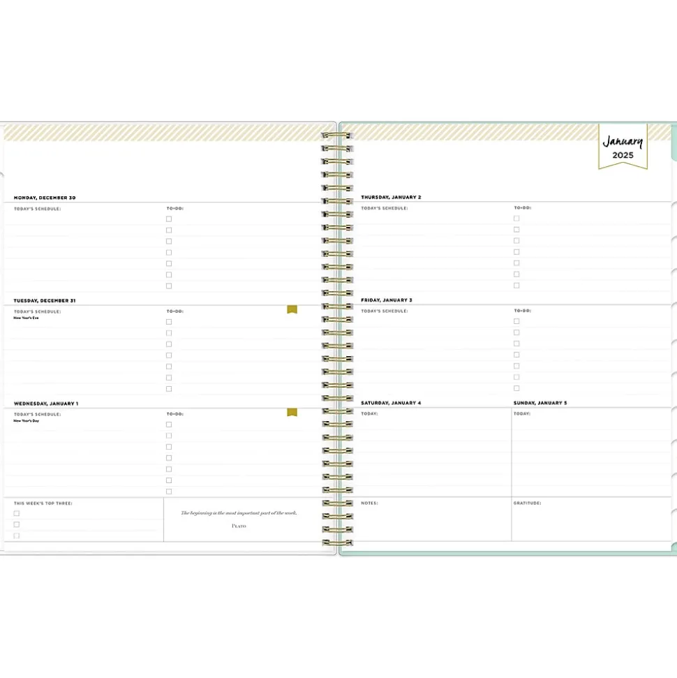 2025 Blue Sky Day Designer Secret Garden Mint Green 8.5" x 11" Weekly & Monthly Planner, Plastic Cover, Multicolor