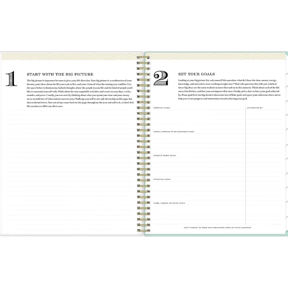 2025 Blue Sky Day Designer Secret Garden Mint Green 8.5" x 11" Weekly & Monthly Planner, Plastic Cover, Multicolor