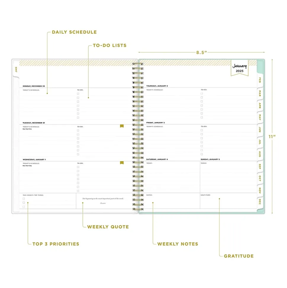 2025 Blue Sky Day Designer Secret Garden Mint Green 8.5" x 11" Weekly & Monthly Planner, Plastic Cover, Multicolor