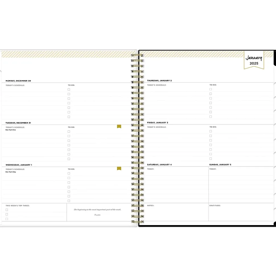 2025 Blue Sky Day Designer Swiss Dot 8.5" x 11" Weekly Planner, Plastic Cover, Black/Gold (148134)