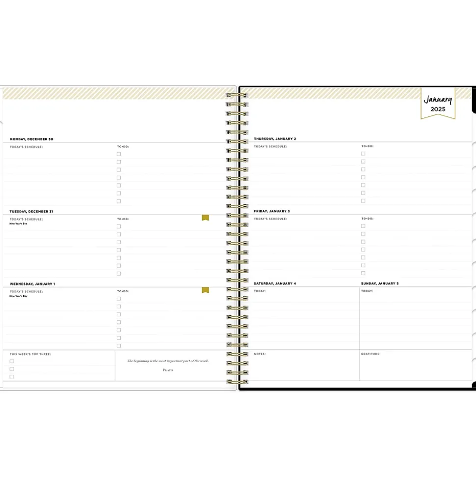 2025 Blue Sky Day Designer Swiss Dot 8.5" x 11" Weekly Planner, Plastic Cover, Black/Gold (148134)