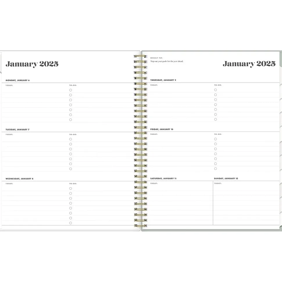 2025 Blue Sky Day Designer The Everygirl Tuberose 8.5" x 11" Weekly Planner, Plastic Cover, Green/White (150775)