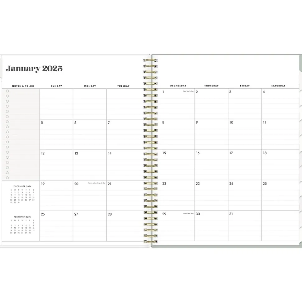 2025 Blue Sky Day Designer The Everygirl Tuberose 8.5" x 11" Weekly Planner, Plastic Cover, Green/White (150775)