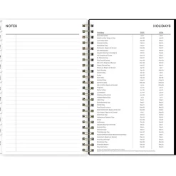 2025 Blue Sky Deelie 5