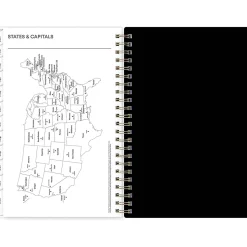 2025 Blue Sky Deelie 5