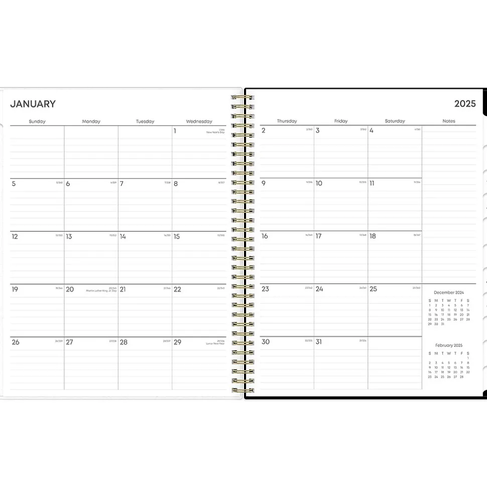 2025 Blue Sky Deelie 8.5" x 11" Weekly & Monthly Planner, Plastic Cover, White/Gray (152249)
