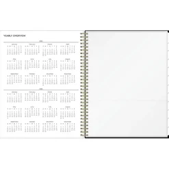 2025 Blue Sky Deelie 8.5