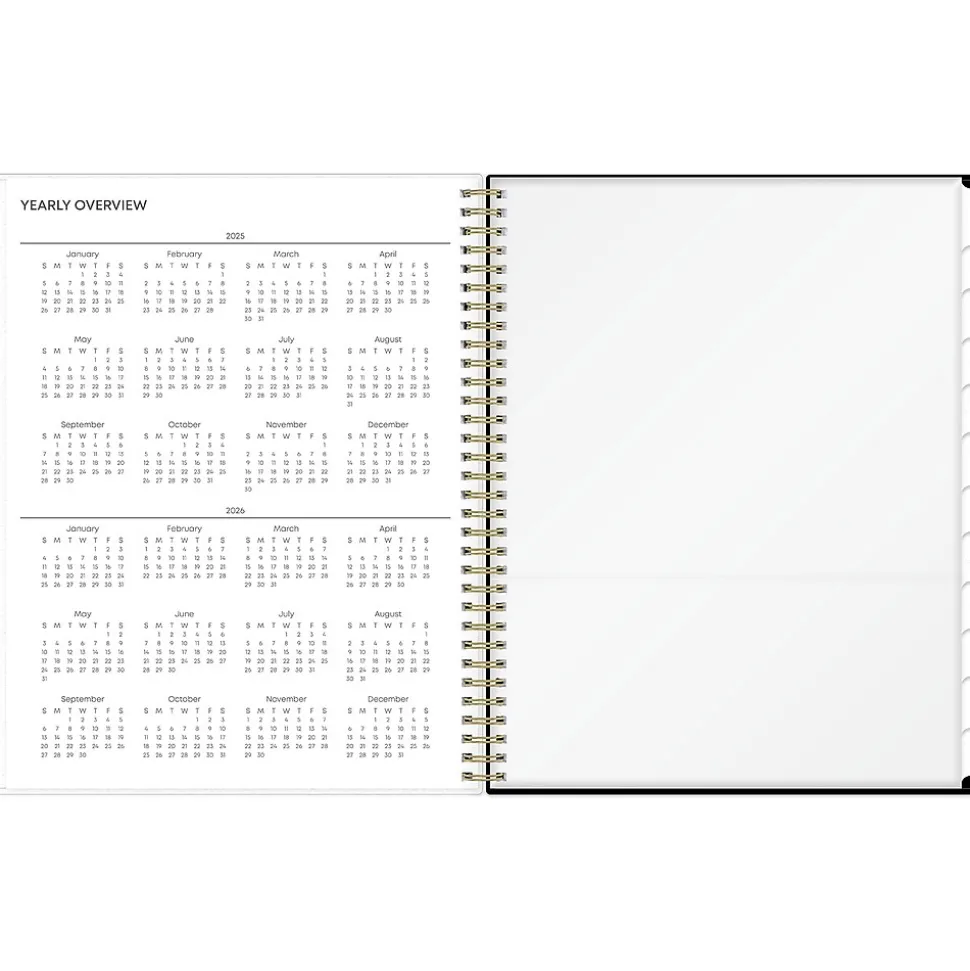 2025 Blue Sky Deelie 8.5" x 11" Weekly & Monthly Planner, Plastic Cover, White/Gray (152249)